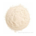 100% Natural Allicin Garlic Powder Wholesale